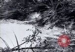Standbild Landreform Kalabrien Italien, 1952, aus Sekunde 11 historischem Filmmaterial Videoclip 65675027077