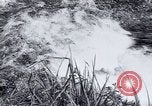 Standbild Landreform Kalabrien Italien, 1952, aus Sekunde 14 historischem Filmmaterial Videoclip 65675027077