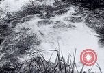 Standbild Landreform Kalabrien Italien, 1952, aus Sekunde 15 historischem Filmmaterial Videoclip 65675027077
