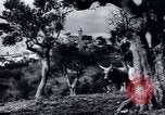 Image of European recovery after war Europe, 1950, second 28 stock footage video 65675027087