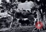 Image of European recovery after war Europe, 1950, second 30 stock footage video 65675027087