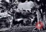 Image of European recovery after war Europe, 1950, second 31 stock footage video 65675027087
