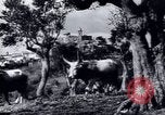 Image of European recovery after war Europe, 1950, second 33 stock footage video 65675027087