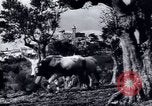 Image of European recovery after war Europe, 1950, second 34 stock footage video 65675027087