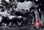 Image of European recovery after war Europe, 1950, second 35 stock footage video 65675027087