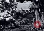 Image of European recovery after war Europe, 1950, second 36 stock footage video 65675027087