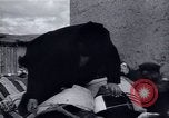 Immagine di Recupero dopo la guerra Europa occidentale, 1950, secondo 33 filmato di repertorio 65675027089
