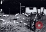 Immagine di Recupero dopo la guerra Europa occidentale, 1950, secondo 51 filmato di repertorio 65675027089
