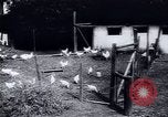Immagine di Recupero dopo la guerra Europa occidentale, 1950, secondo 52 filmato di repertorio 65675027089