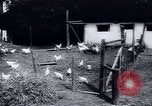 Immagine di Recupero dopo la guerra Europa occidentale, 1950, secondo 53 filmato di repertorio 65675027089