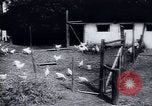 Immagine di Recupero dopo la guerra Europa occidentale, 1950, secondo 54 filmato di repertorio 65675027089
