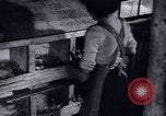 Immagine di Recupero dopo la guerra Europa occidentale, 1950, secondo 56 filmato di repertorio 65675027089