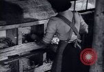 Immagine di Recupero dopo la guerra Europa occidentale, 1950, secondo 57 filmato di repertorio 65675027089