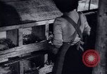 Immagine di Recupero dopo la guerra Europa occidentale, 1950, secondo 59 filmato di repertorio 65675027089