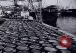 Immagine di Recupero dopo la guerra Italia, 1950, secondo 61 filmato di repertorio 65675027090