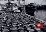 Immagine di Recupero dopo la guerra Italia, 1950, secondo 62 filmato di repertorio 65675027090
