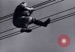 Immagine di Recupero dopo la guerra Europa, 1950, secondo 57 filmato di repertorio 65675027093