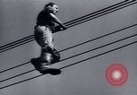 Immagine di Recupero dopo la guerra Europa, 1950, secondo 58 filmato di repertorio 65675027093