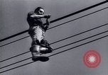 Immagine di Recupero dopo la guerra Europa, 1950, secondo 59 filmato di repertorio 65675027093