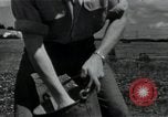 Image of 4-H club members Denmark, 1950, second 42 stock footage video 65675027096
