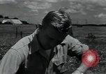 Image of 4-H club members Denmark, 1950, second 43 stock footage video 65675027096