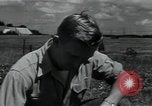 Image of 4-H club members Denmark, 1950, second 44 stock footage video 65675027096