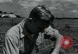 Image of 4-H club members Denmark, 1950, second 45 stock footage video 65675027096
