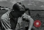 Image of 4-H club members Denmark, 1950, second 46 stock footage video 65675027096