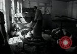 Image of 4-H club members Denmark, 1950, second 48 stock footage video 65675027096