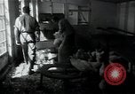 Image of 4-H club members Denmark, 1950, second 50 stock footage video 65675027096