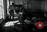 Image of 4-H club members Denmark, 1950, second 51 stock footage video 65675027096