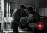 Image of 4-H club members Denmark, 1950, second 54 stock footage video 65675027096