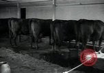 Image of 4-H club members Denmark, 1950, second 60 stock footage video 65675027096