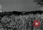 Image of woman farmer France, 1950, second 24 stock footage video 65675027097