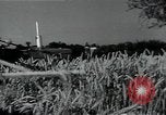 Image of woman farmer France, 1950, second 25 stock footage video 65675027097