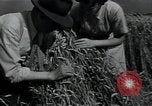 Image of woman farmer France, 1950, second 28 stock footage video 65675027097