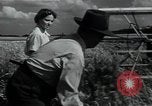 Image of woman farmer France, 1950, second 34 stock footage video 65675027097
