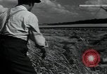 Image of woman farmer France, 1950, second 36 stock footage video 65675027097