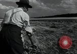 Image of woman farmer France, 1950, second 37 stock footage video 65675027097