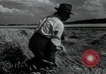 Image of woman farmer France, 1950, second 38 stock footage video 65675027097
