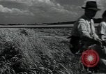 Image of woman farmer France, 1950, second 39 stock footage video 65675027097