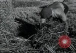 Image of woman farmer France, 1950, second 40 stock footage video 65675027097