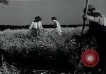 Image of woman farmer France, 1950, second 43 stock footage video 65675027097