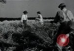 Image of woman farmer France, 1950, second 46 stock footage video 65675027097