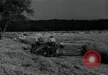 Image of woman farmer France, 1950, second 48 stock footage video 65675027097