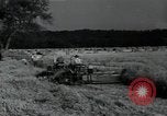 Image of woman farmer France, 1950, second 50 stock footage video 65675027097