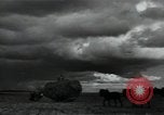 Image of woman farmer France, 1950, second 58 stock footage video 65675027097