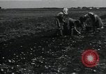 Image of potato farming Germany, 1950, second 32 stock footage video 65675027098