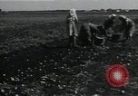 Image of potato farming Germany, 1950, second 33 stock footage video 65675027098