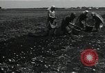 Image of potato farming Germany, 1950, second 34 stock footage video 65675027098